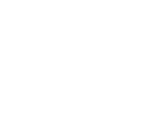 mold dots