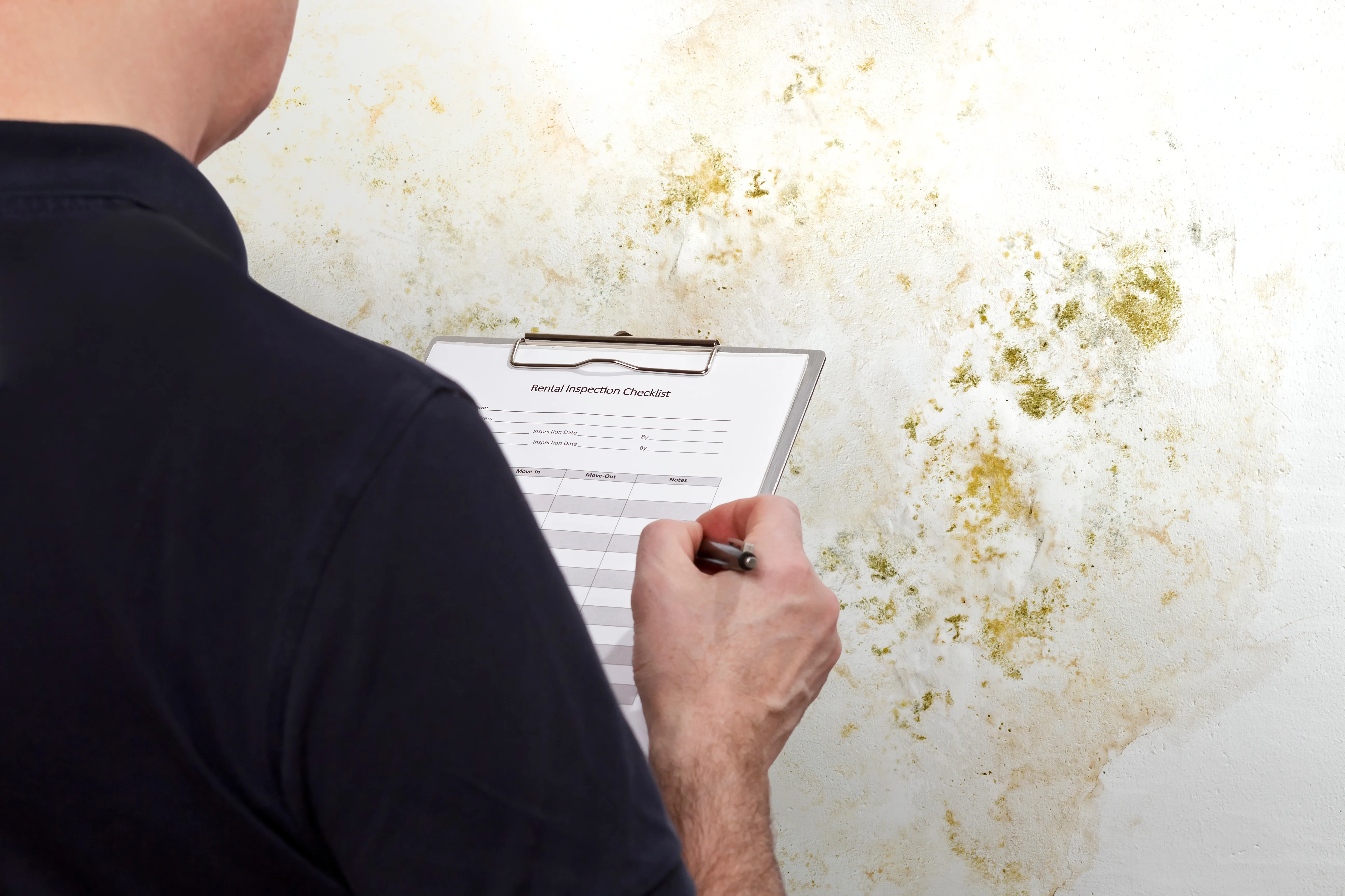 5 Ways We Improve Your Property Management Services