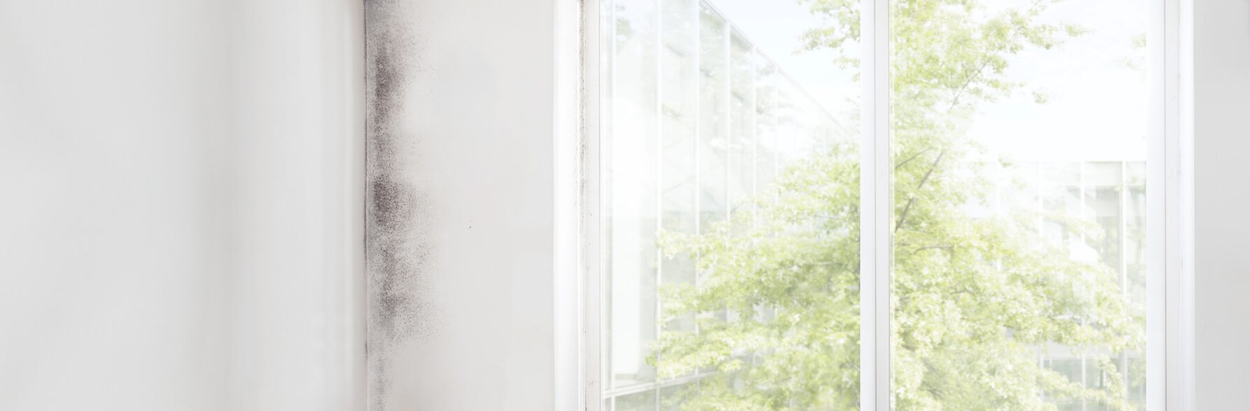 5 Ways We Improve Your Property Management Services