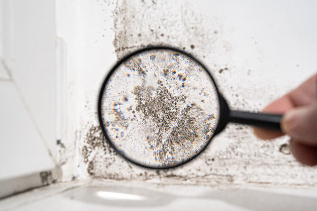 5 Ways We Improve Your Property Management Services
